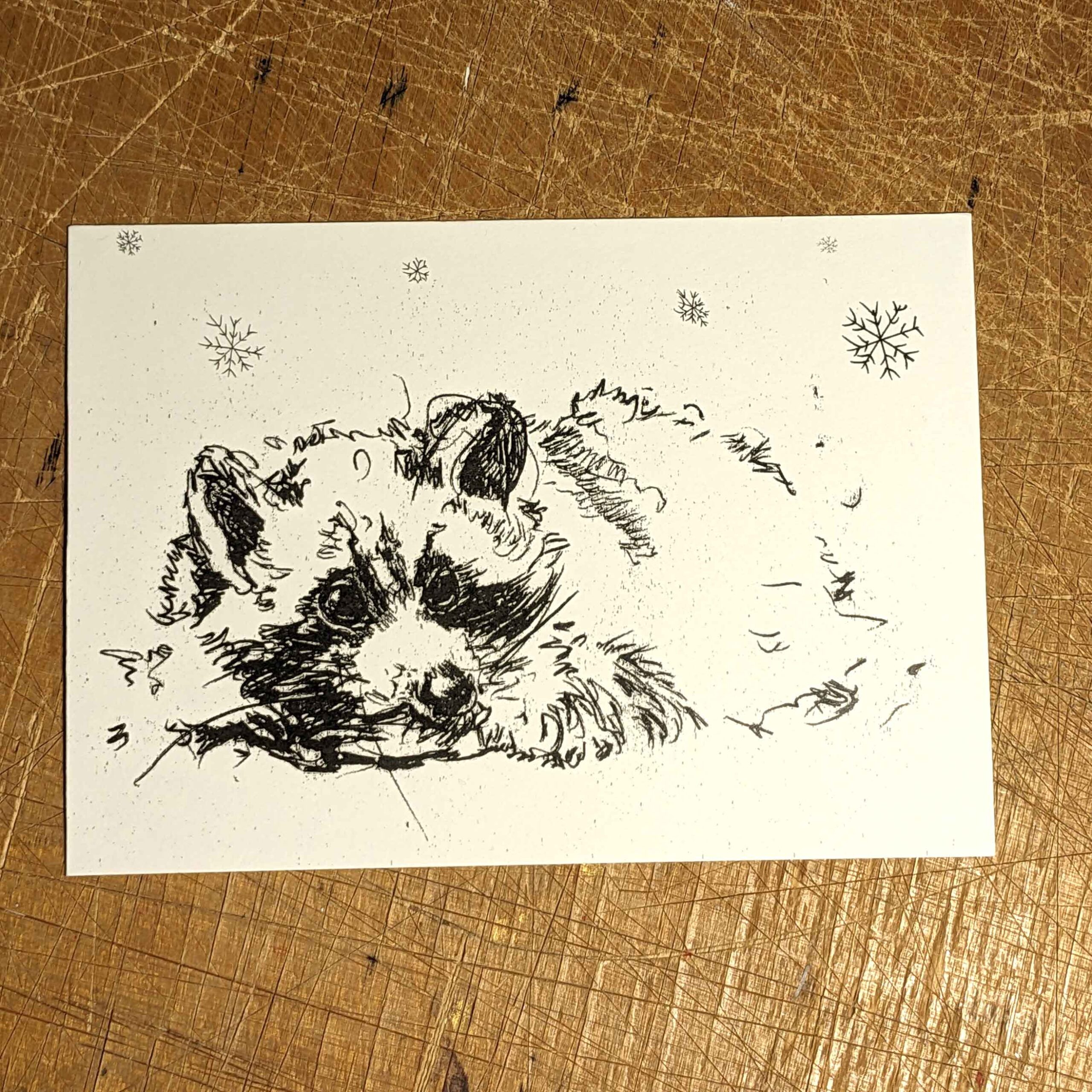 Trashpanda Snowing - Postcard