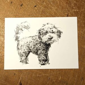 Dog - Postcard