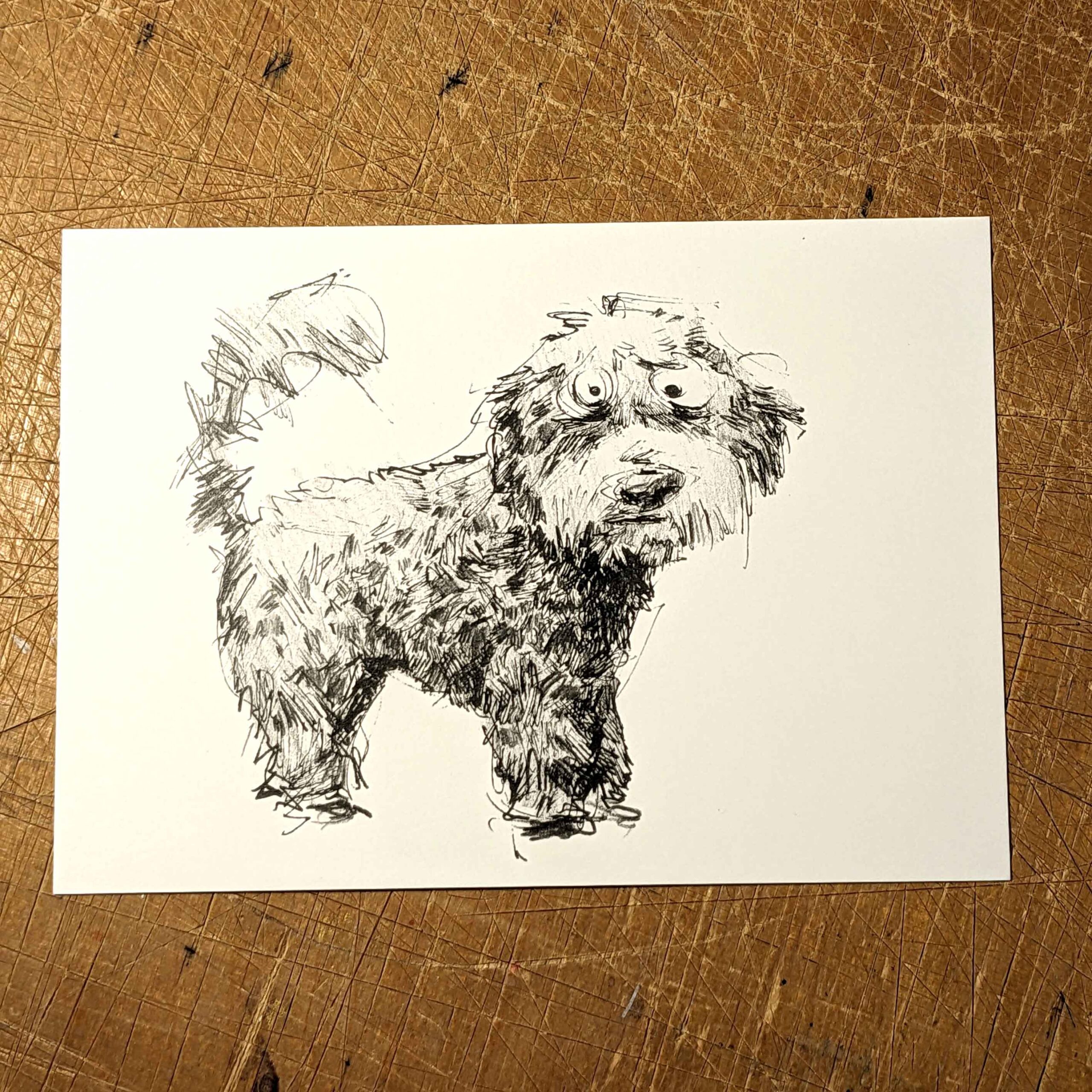 Dog - Postcard