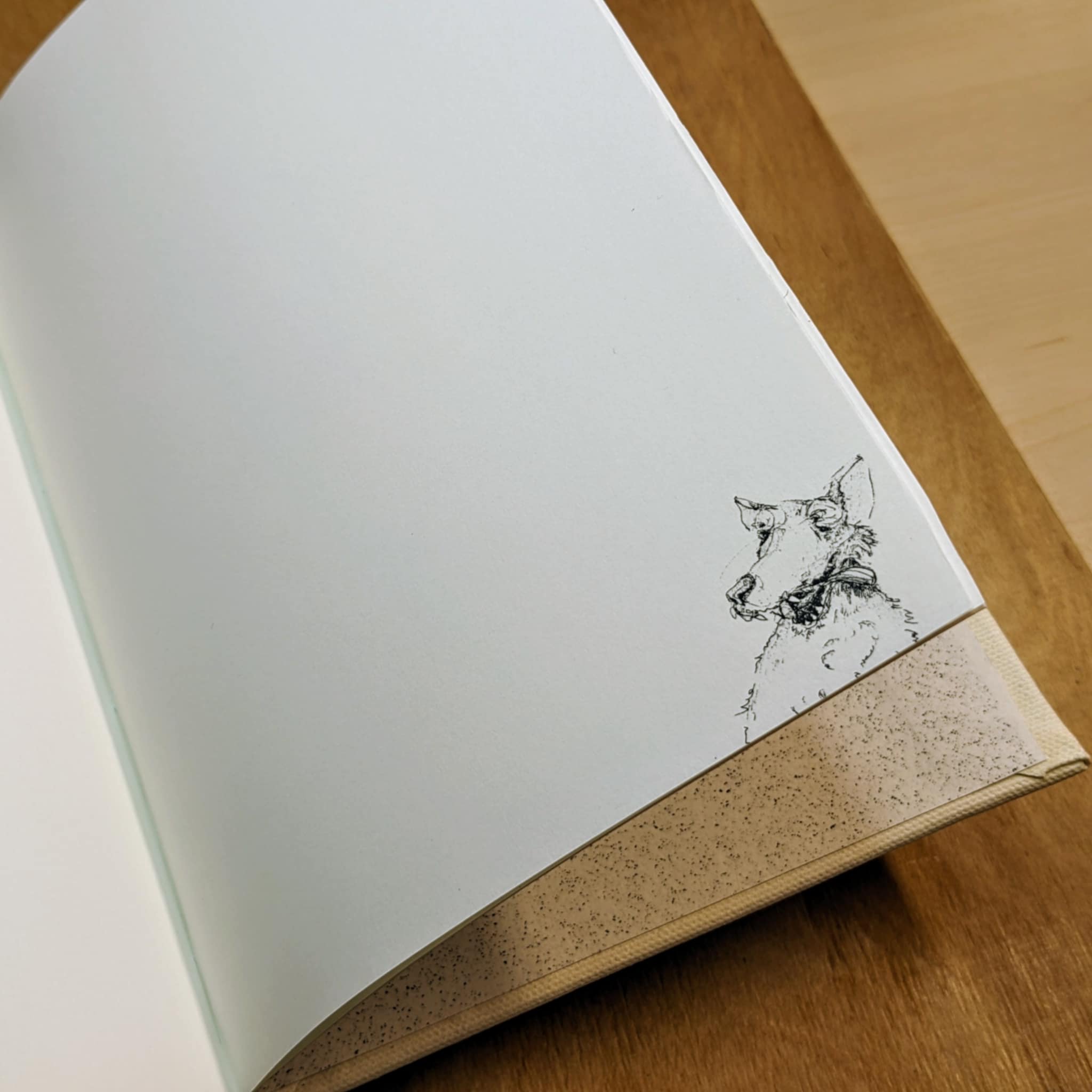 Bober Sport - Hardcover noteBook - Image 4